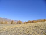 Image of landscape