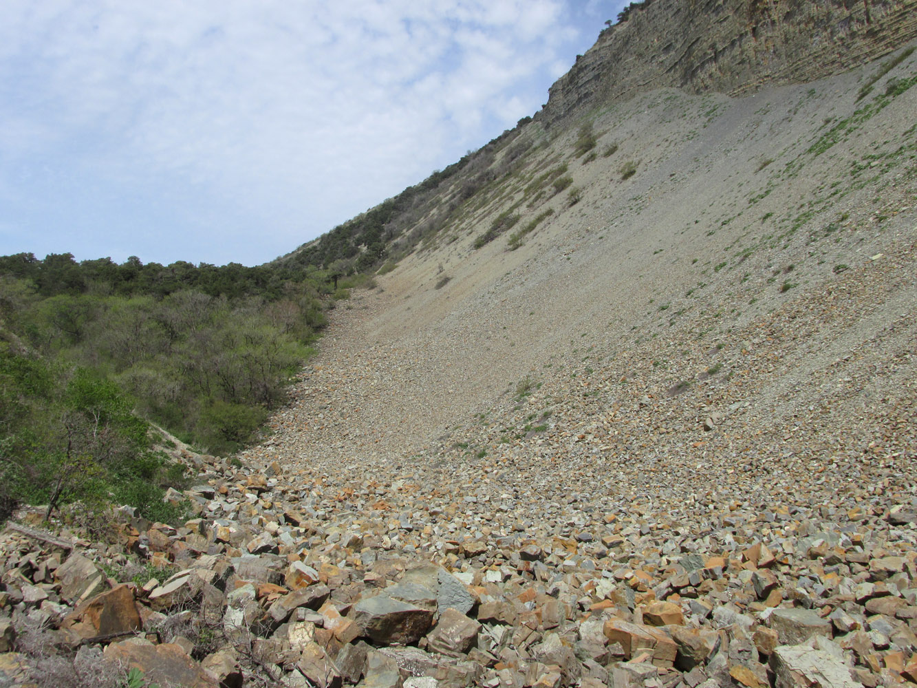 Заповедник "Утриш", image of landscape/habitat.