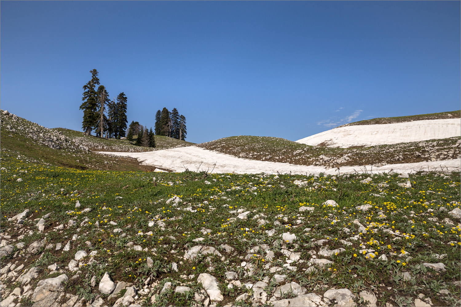 Мамдзышха, image of landscape/habitat.