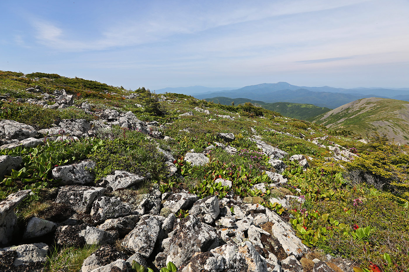 Гора Снежная, image of landscape/habitat.