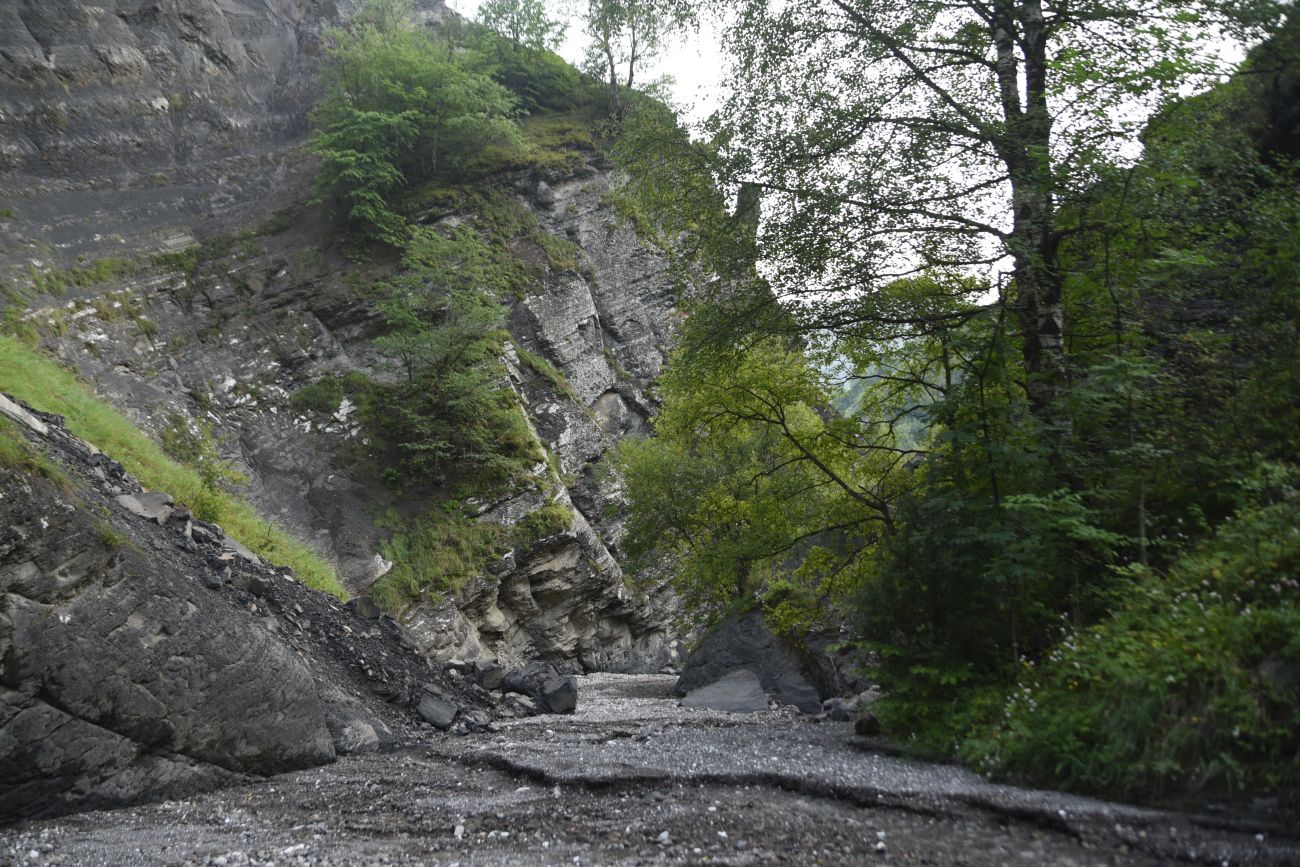 Левый приток реки Цесиахк, image of landscape/habitat.