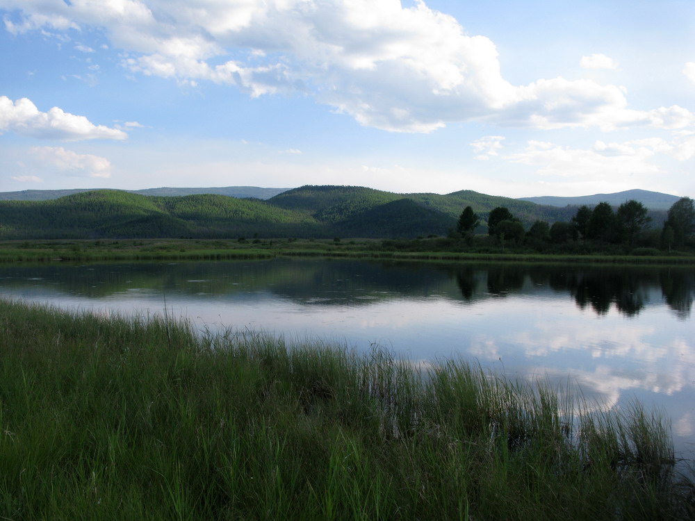 Гагульская котловина, image of landscape/habitat.