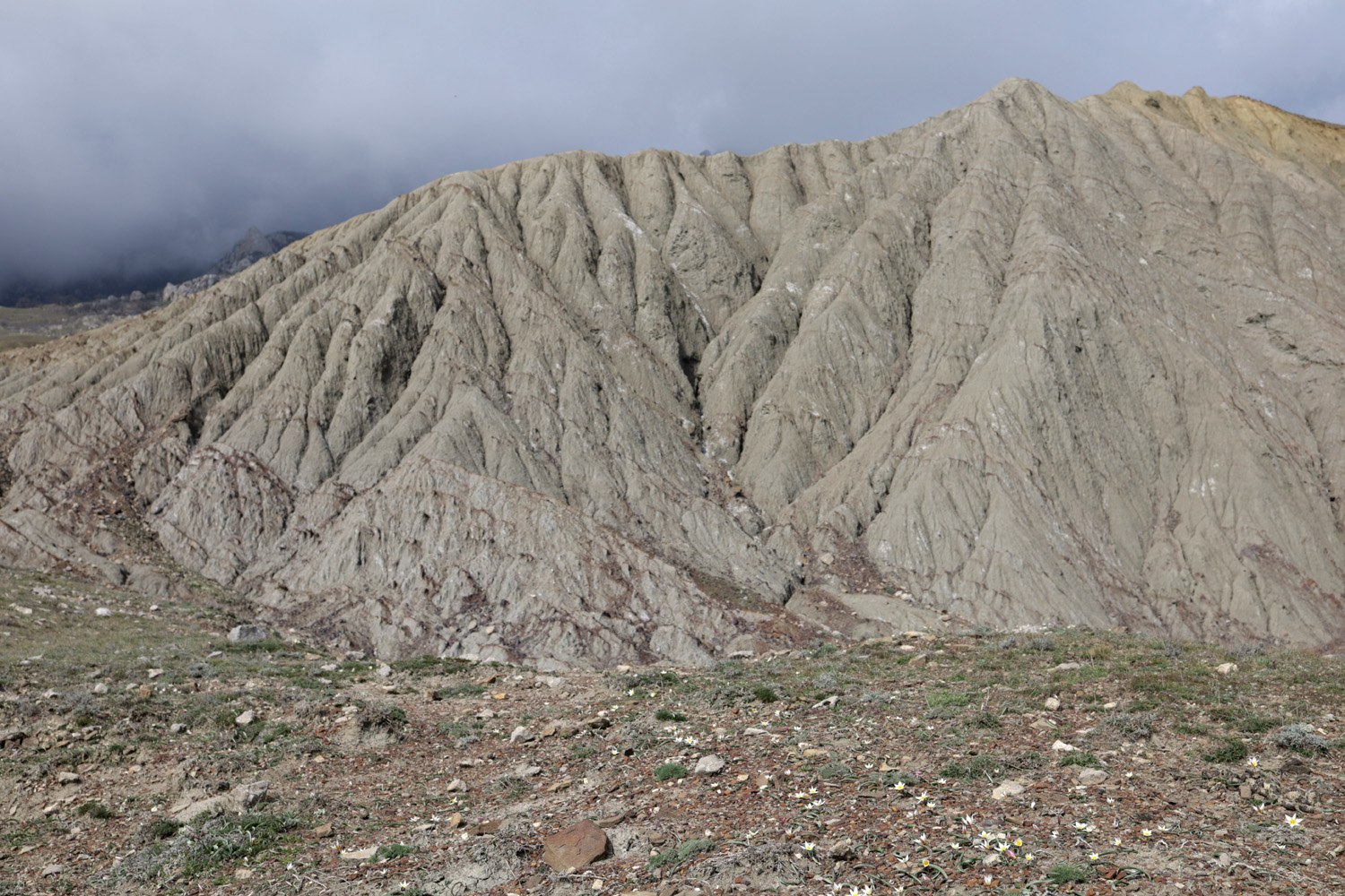 Лисья бухта, image of landscape/habitat.