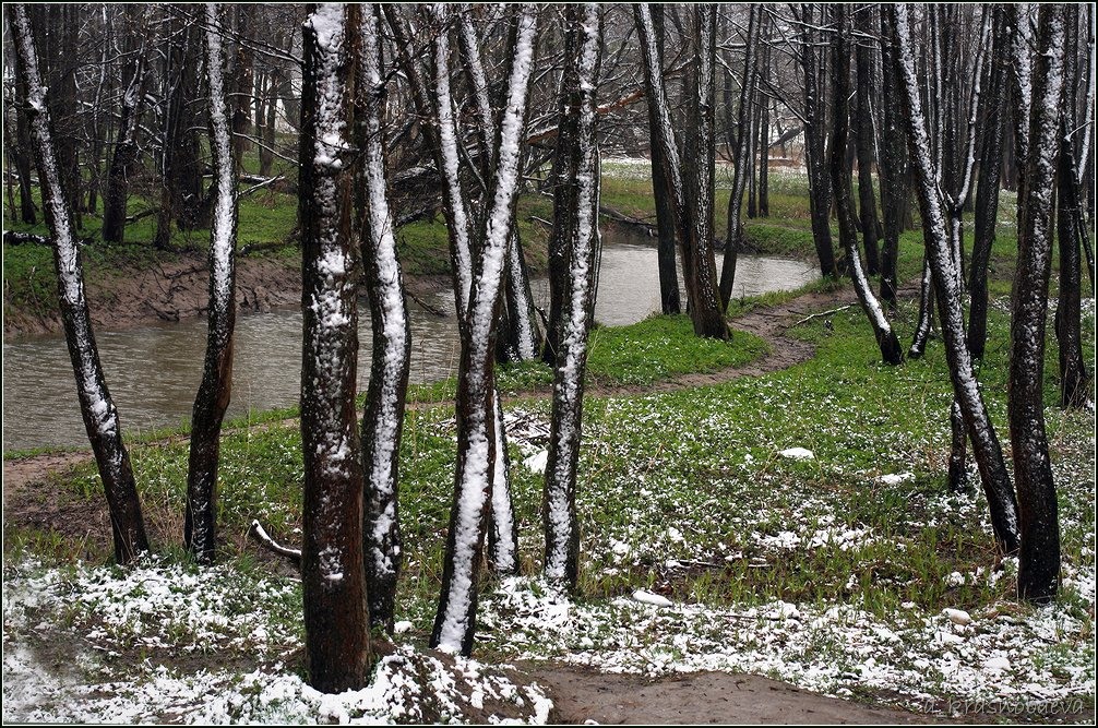 Дубна и окрестности, image of landscape/habitat.