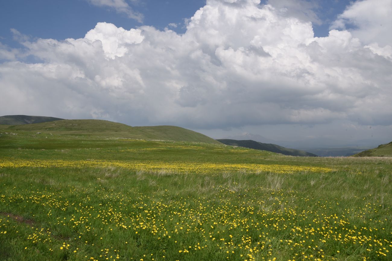 Урочище Агара, изображение ландшафта.