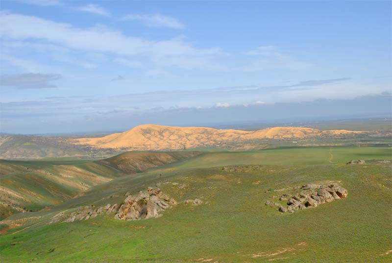 Бархан Сарыкум, image of landscape/habitat.