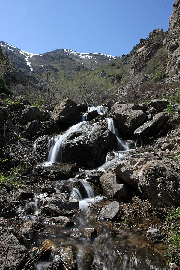 Горы Алатау, image of landscape/habitat.