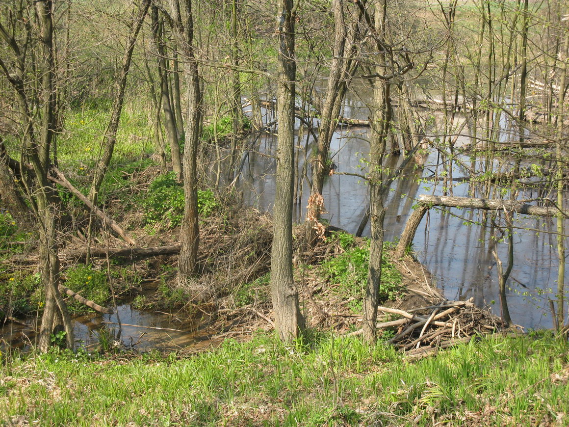 Жуков хутор, image of landscape/habitat.