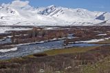 Суусамырская долина, image of landscape/habitat.