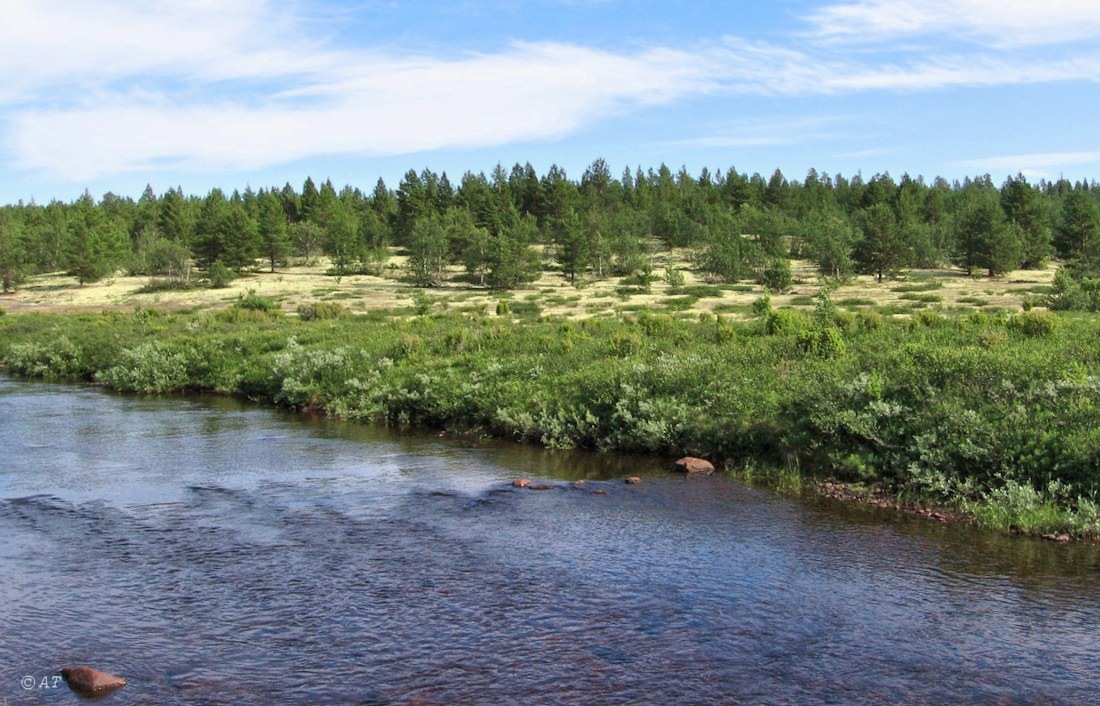 Парусная, image of landscape/habitat.