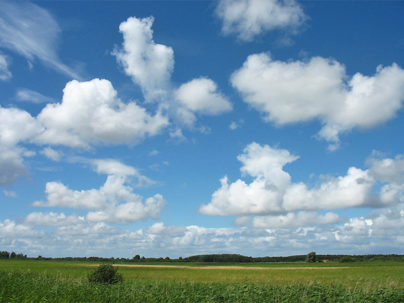 Лауверсмер (Lauwersmeer), изображение ландшафта.