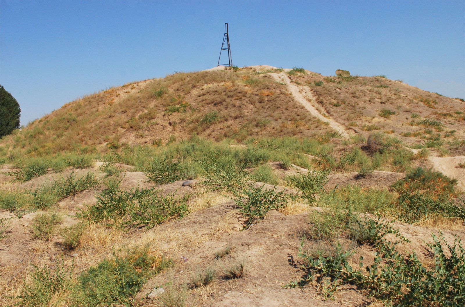 Холм Кулоктепа (Quloqtepa), image of landscape/habitat.