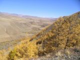 Image of landscape