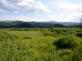 Image of landscape