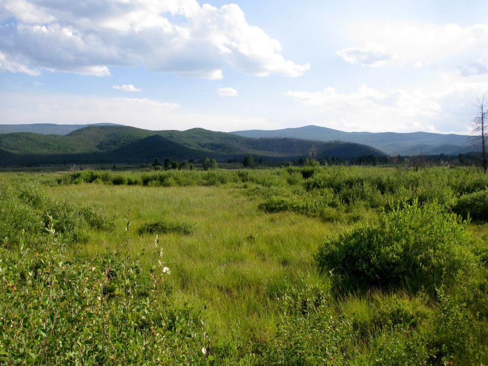 Гагульская котловина, image of landscape/habitat.