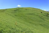 Фытын, image of landscape/habitat.