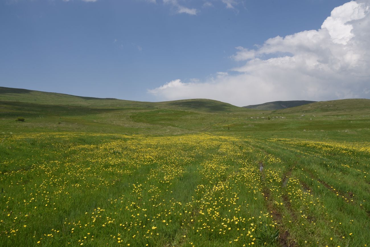 Урочище Агара, изображение ландшафта.