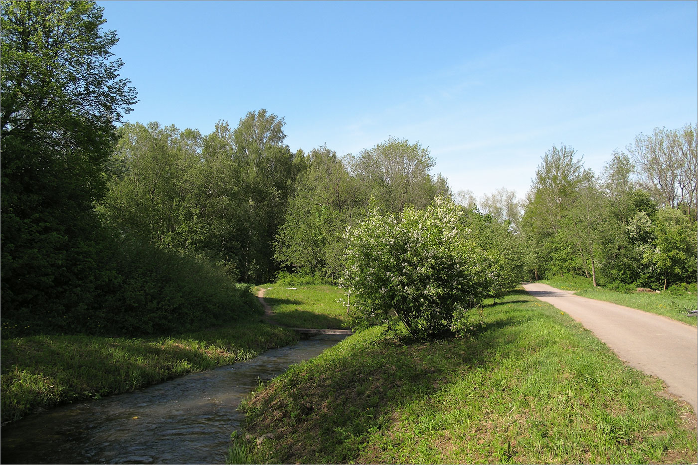 Луговой парк, изображение ландшафта.