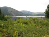 Image of landscape