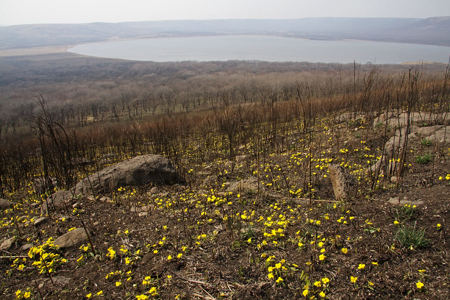 Столовая, image of landscape/habitat.