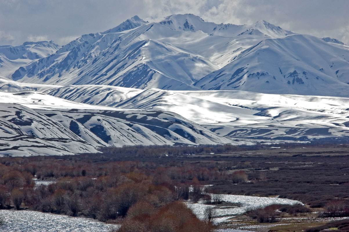 Суусамырская долина, image of landscape/habitat.