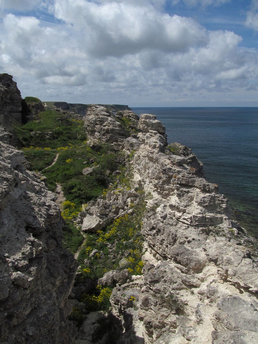 Джангуль, image of landscape/habitat.