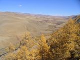 Image of landscape