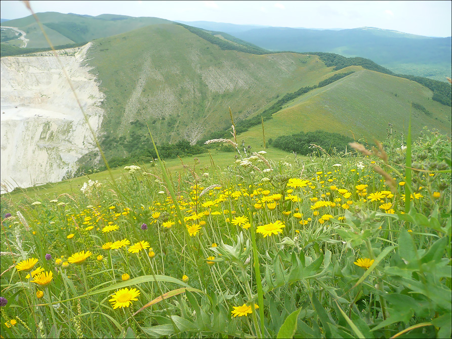 Гора Лысая-Новороссийская, изображение ландшафта.