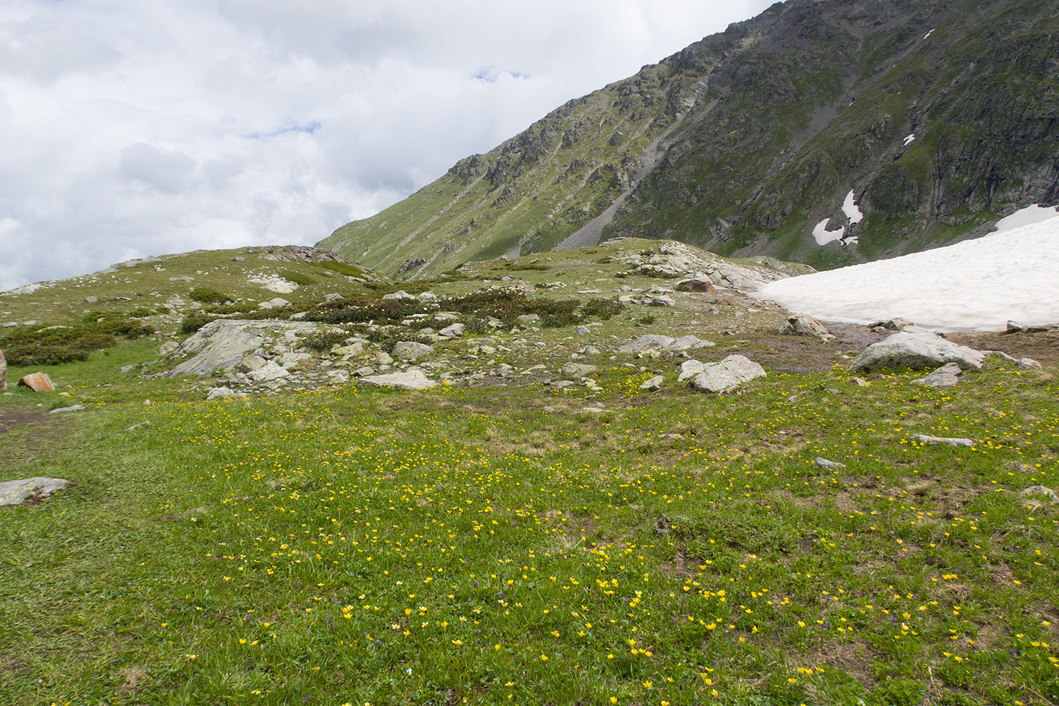 Верховья Имеретинки, image of landscape/habitat.