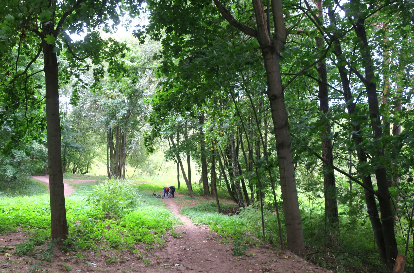 Пехра-Яковлевское, image of landscape/habitat.