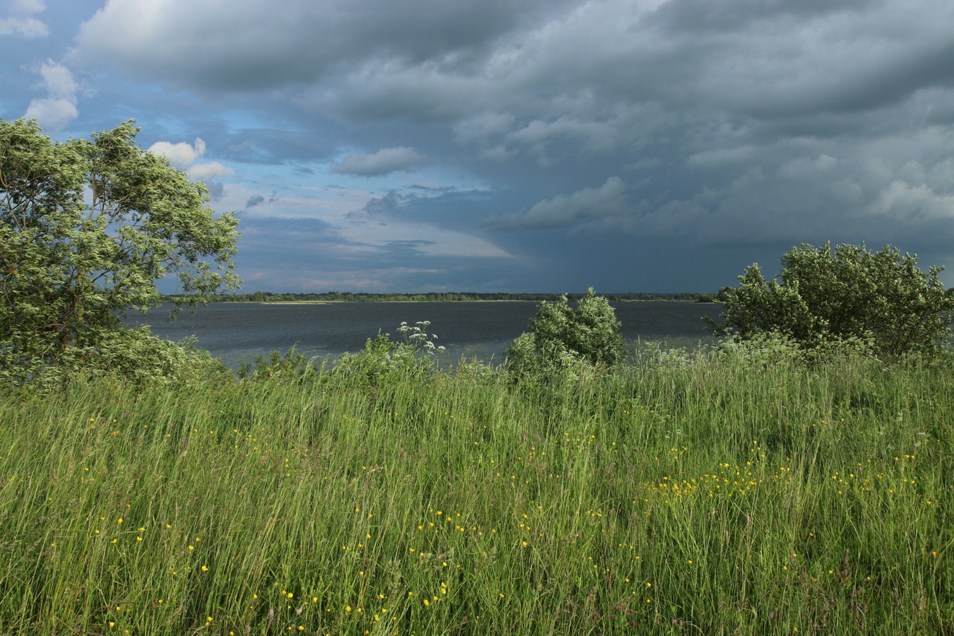 Езерище и окрестности, image of landscape/habitat.
