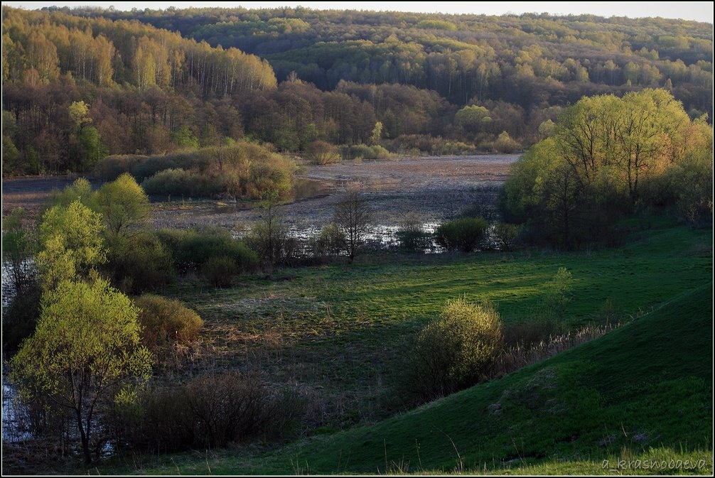 Дубна и окрестности, image of landscape/habitat.