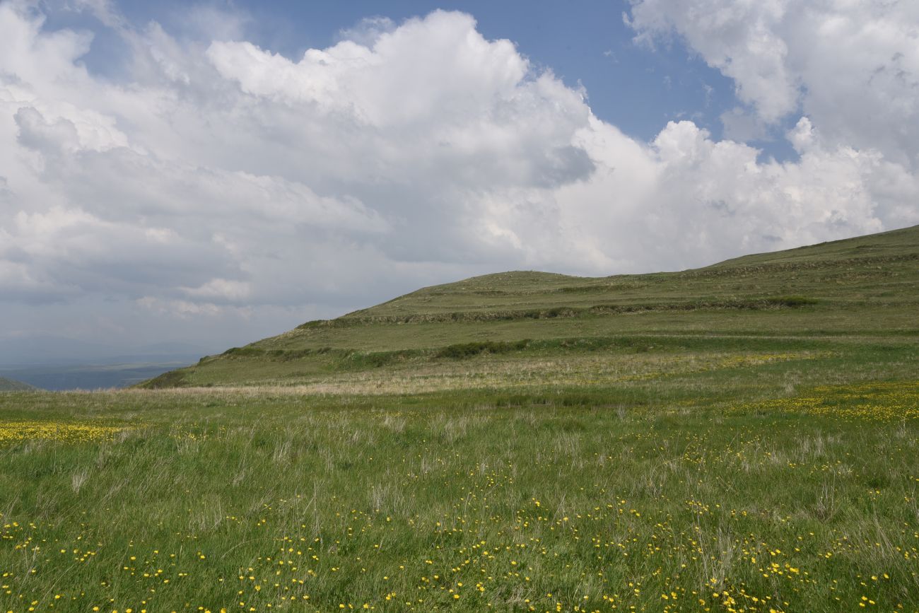 Урочище Агара, изображение ландшафта.