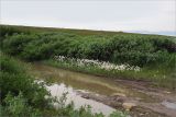 Image of landscape
