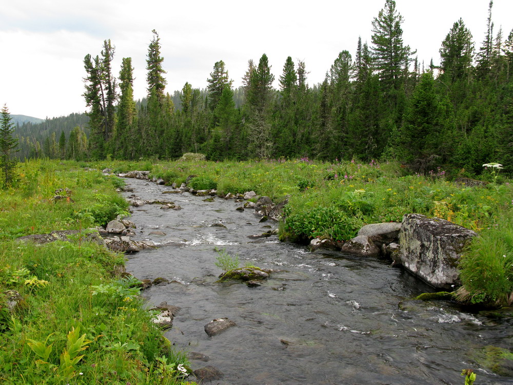 Ойское озеро, image of landscape/habitat.