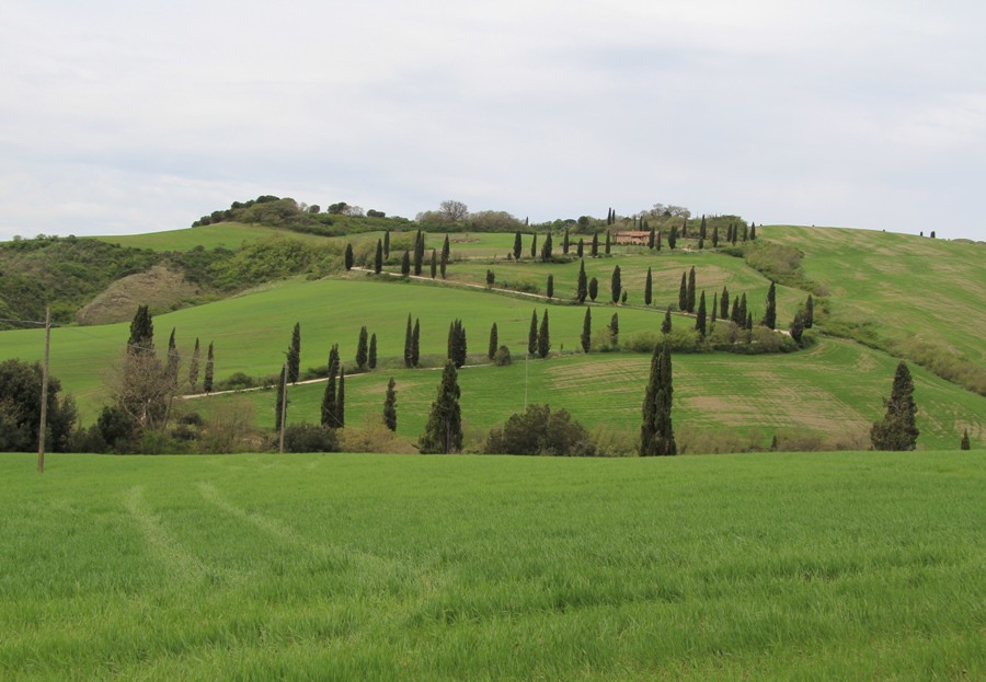 Валь д'Орча, image of landscape/habitat.