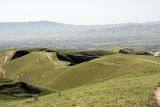 Северные холмы, image of landscape/habitat.