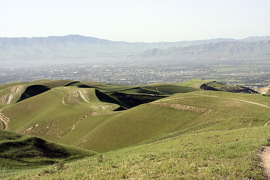 Северные холмы, image of landscape/habitat.