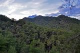 Бухта Чиралы и окрестности, image of landscape/habitat.