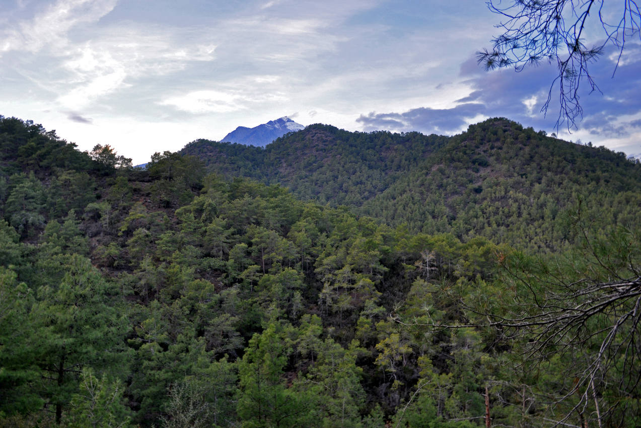 Бухта Чиралы и окрестности, image of landscape/habitat.