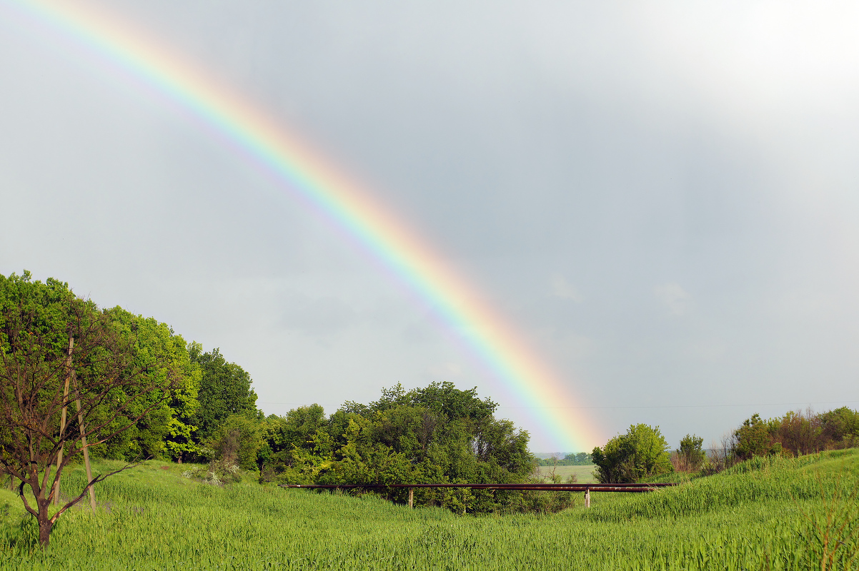 Балка Бирючья, image of landscape/habitat.