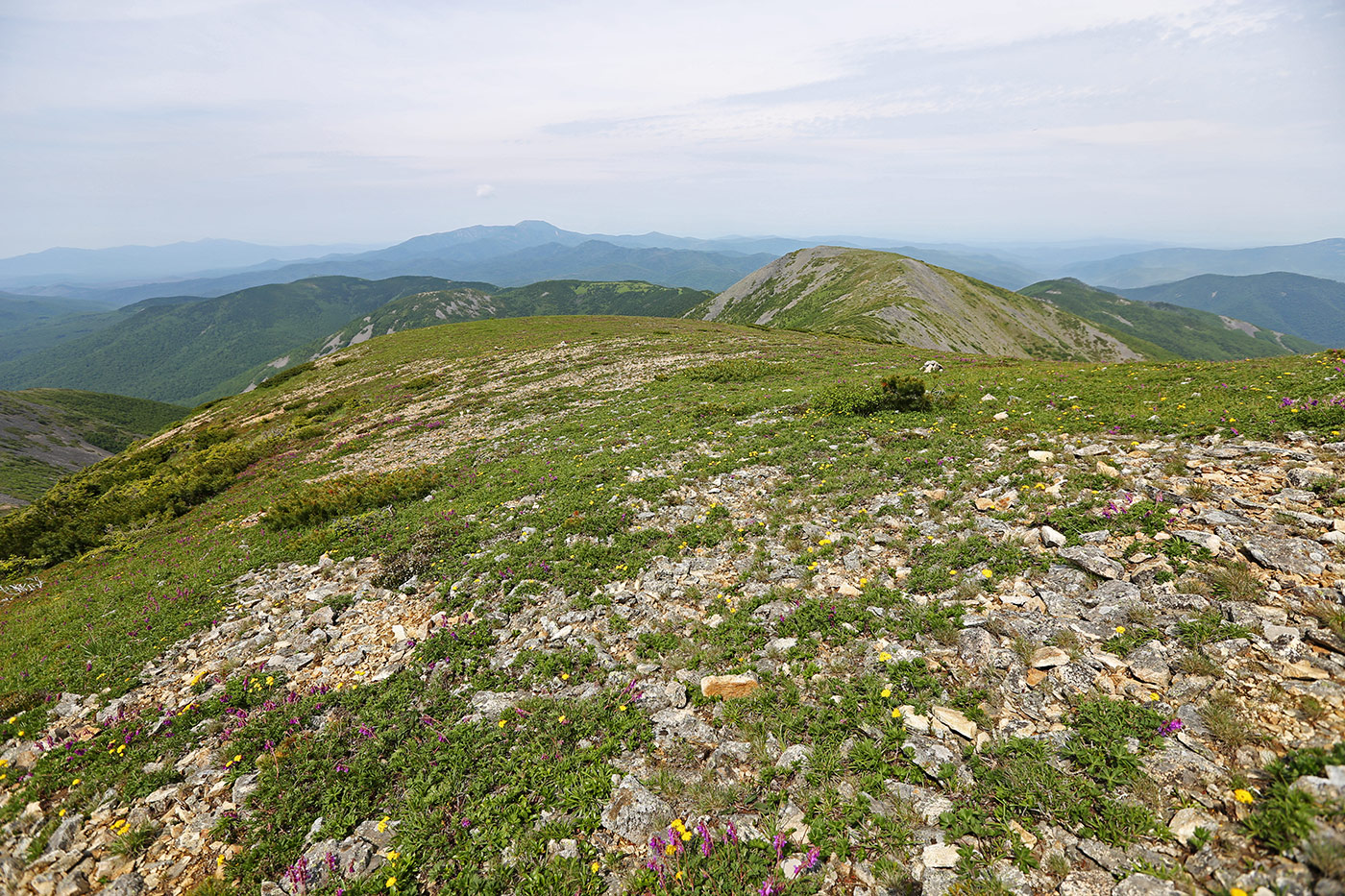 Гора Снежная, image of landscape/habitat.