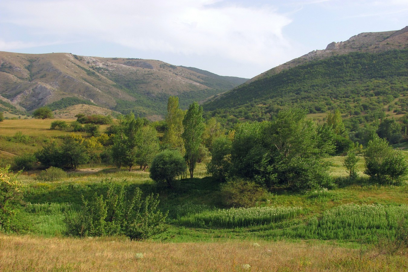 Урочище Аян, изображение ландшафта.