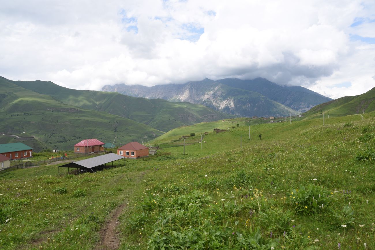 Хакмадой, image of landscape/habitat.