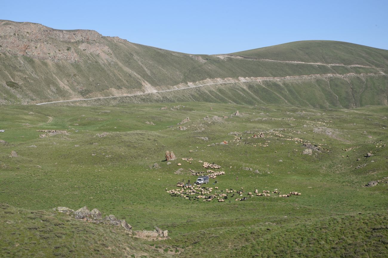 Кальдера Немрут, image of landscape/habitat.