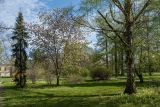 Парк Ботанического института РАН, image of landscape/habitat.