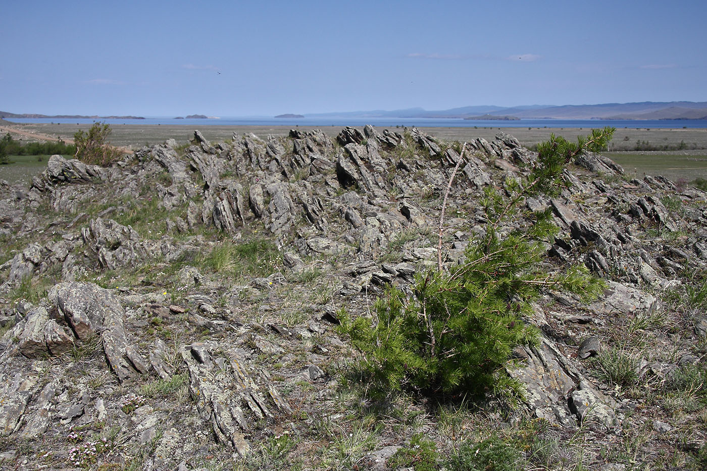 Окрестности Сармы, image of landscape/habitat.