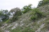 Крымский геологический полигон, image of landscape/habitat.