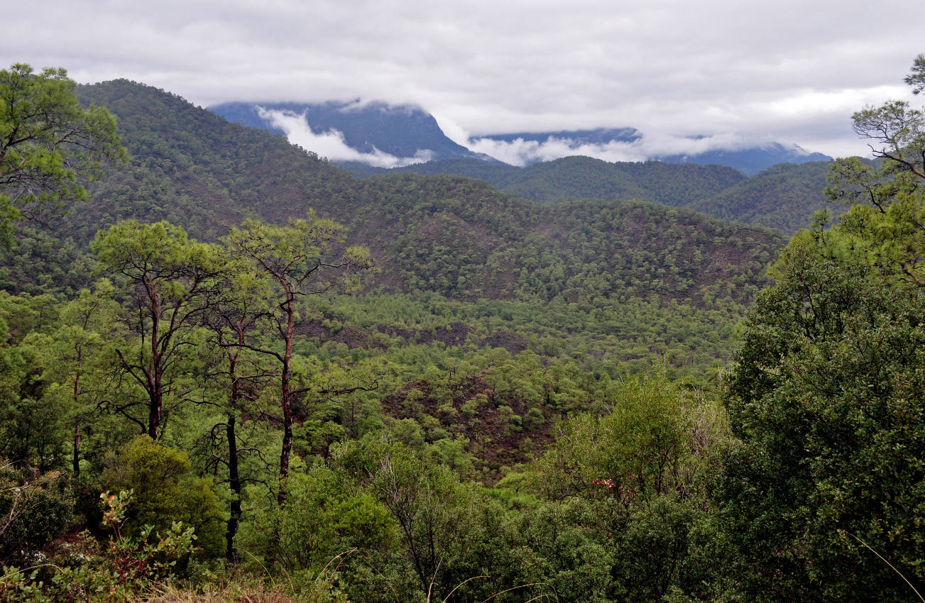 Бухта Чиралы и окрестности, image of landscape/habitat.