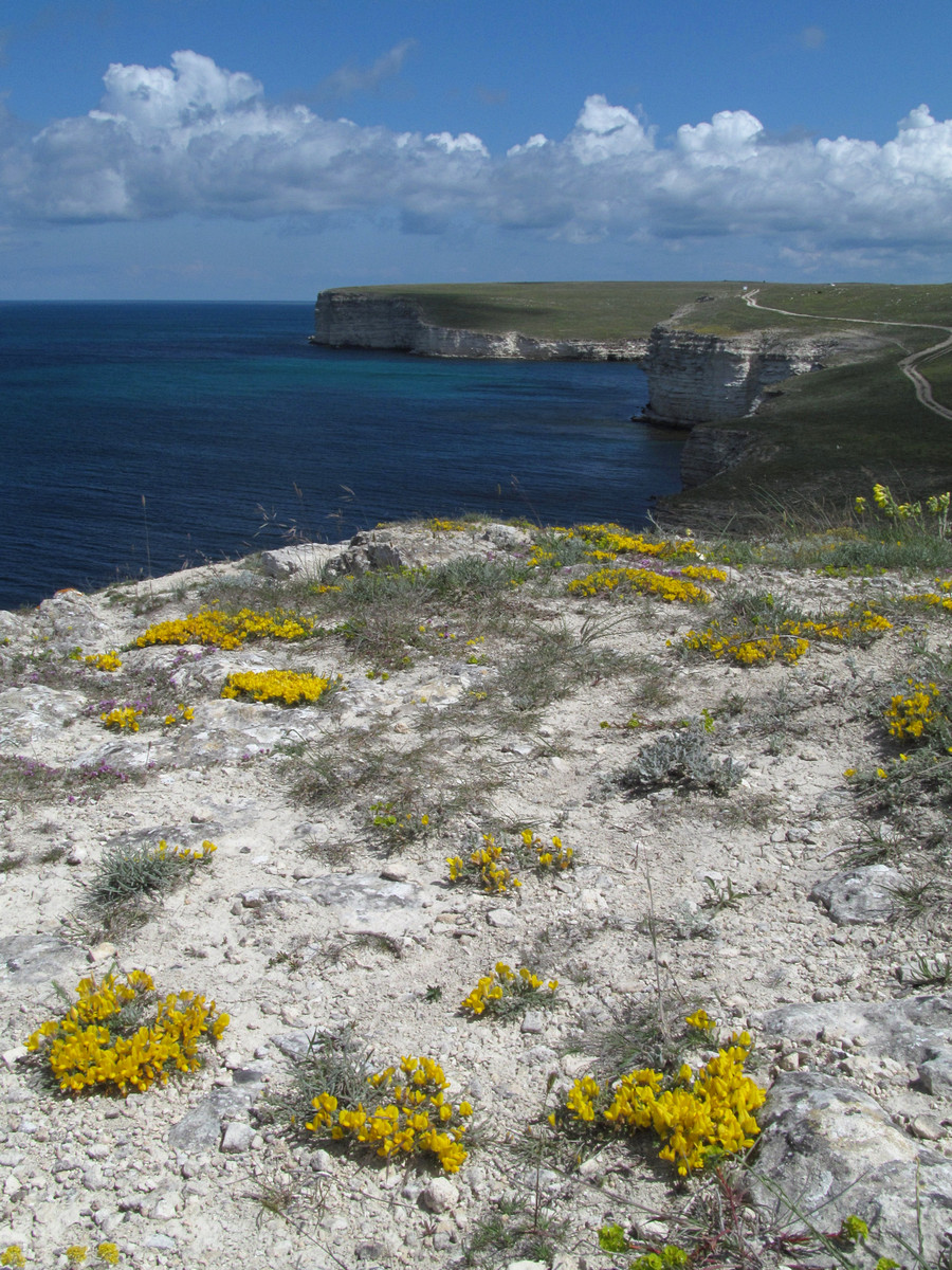 Джангуль, image of landscape/habitat.